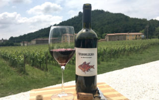 Monteverro, un vino toscano con carattere internazionale