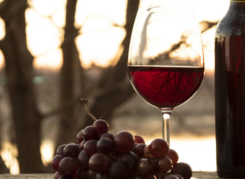 Tra lo scalpore e le polemiche arriva a Vinitaly 2024 il vino "dealcolato" 1