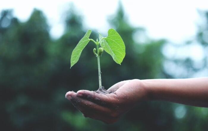 pack alimentare futuro