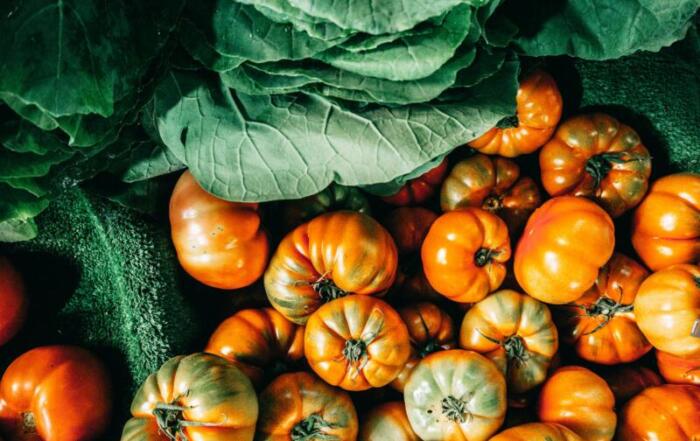 agricoltura italiana