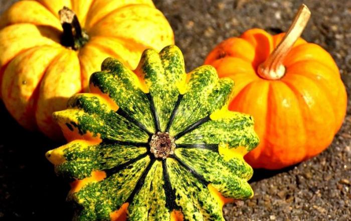 La zucca e le sue 3 varietà più conosciute: curiosità e ricette