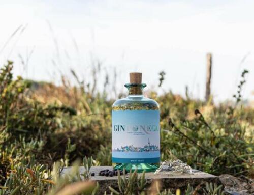 Gintonego, il gin dell’isola di Grado tra innovazione e tradizione