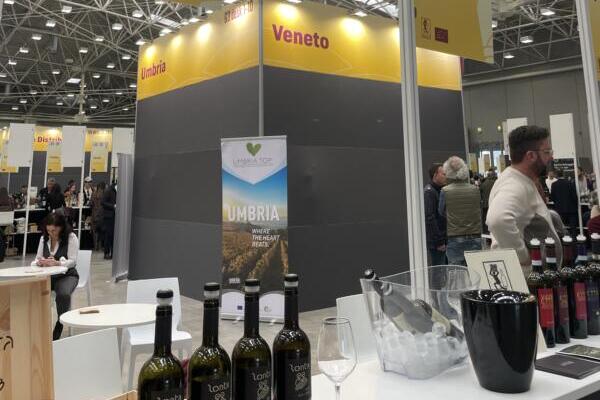 Slow Wine Fair 2025: il vino sostenibile a Bologna Fiere