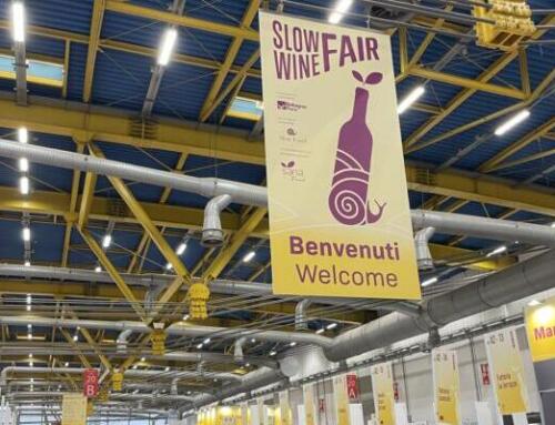 Slow Wine Fair 2025: il vino sostenibile a Bologna Fiere